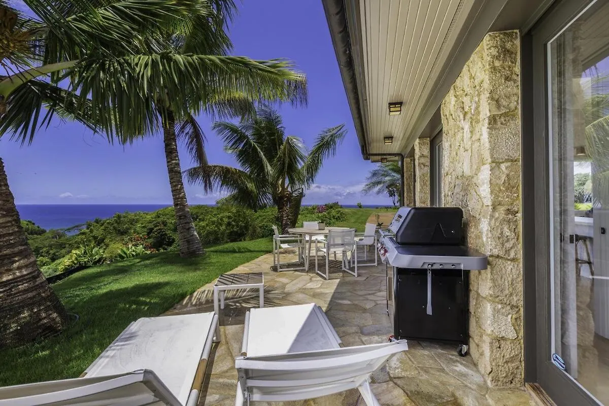 Prázdninový dům Hale Lani Home Kilauea